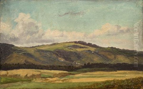 Landscape Study - view 1