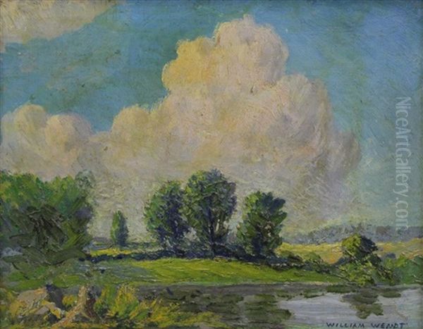 Summer Landscape - view 1