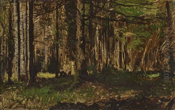 Forest Landscape - view 1