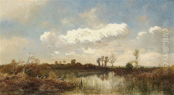 Weite Moorlandschaft - view 1
