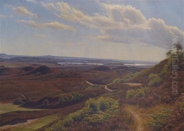 Heidelandschaft Mit Blick Auf Die Kuste - view 1
