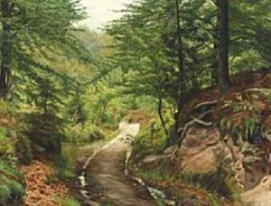 Forest Path With Beech Trees At Munkebjerg