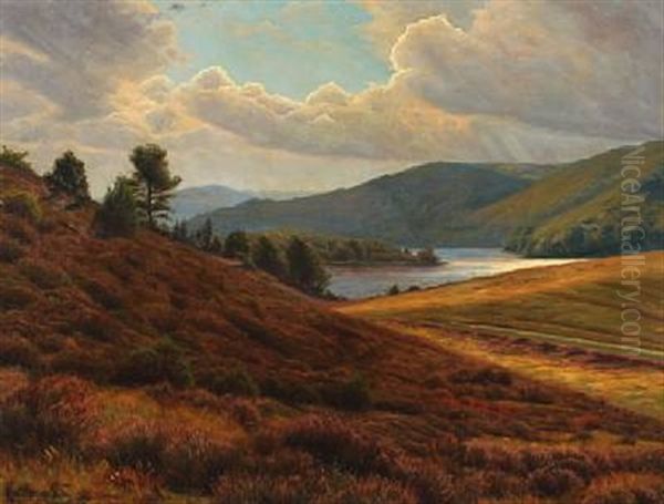 Landscape From Himmelbjerget With View Over Lake - view 1