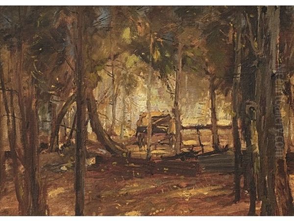 Forest - view 1