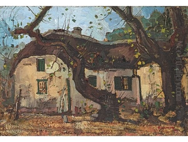Thatched Cape House - view 1