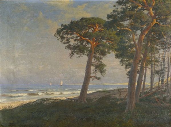 Abendstimmung Auf Dem Darss - view 1