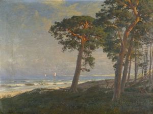 Abendstimmung Auf Dem Darss by Julius Wentscher