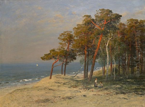 Nachmittag Auf Der Dune - Blick Auf Die Ostseekuste Auf Dem Darss - view 1