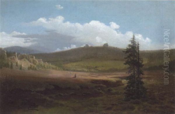 Heidetal Mit Schafer - view 1