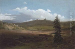 Heidetal Mit Schafer
