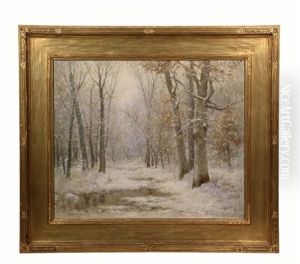 Winter Woods Winter Woods