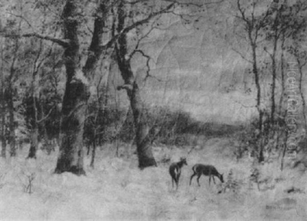 Deer In A Landscape - view 1