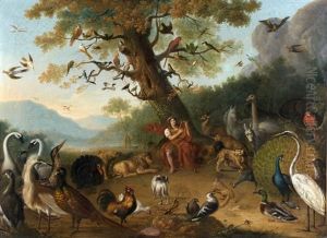Orphee Charmant Les Animaux by Peter Wenzel