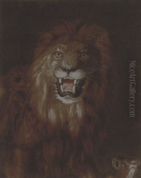 A Male Lion With A Young Impala - view 1