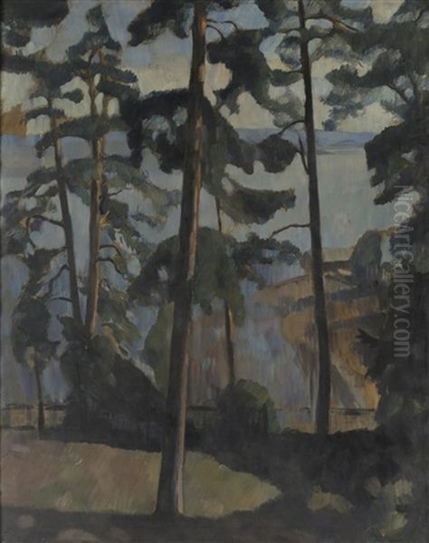 Humlesunn - view 1