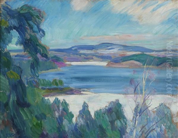 Vinter, Lysaker - view 1