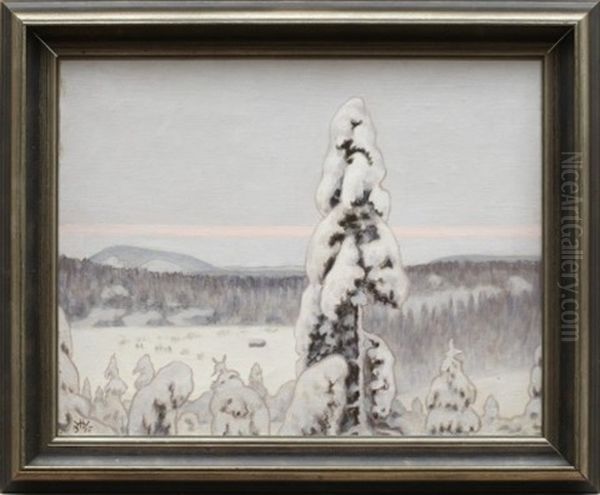 Vinterlandskap - view 1