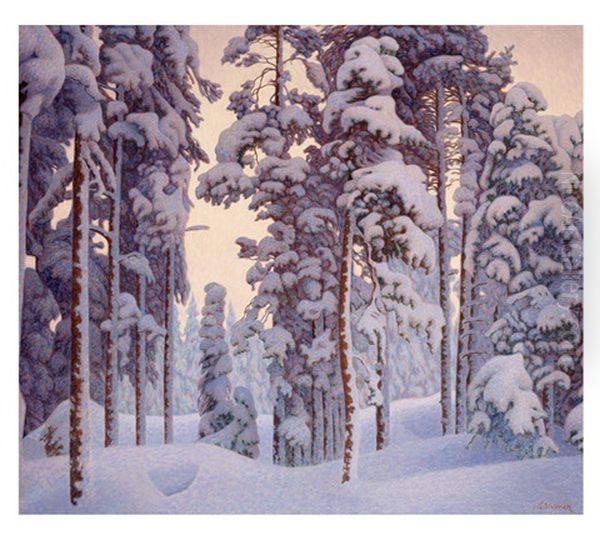 Snotyngt Vinterlandskap - view 1
