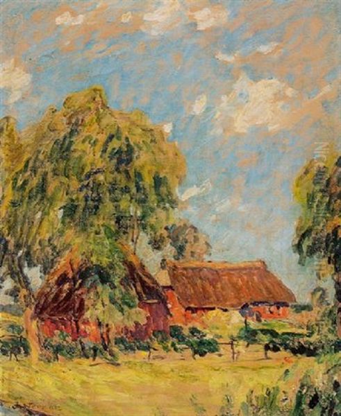 Holsteinisches Bauerngehoft Im Sonnenschein - view 1