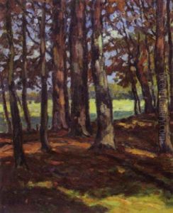 Baume Am Waldrand In Der Herbstsonne by Max Werner