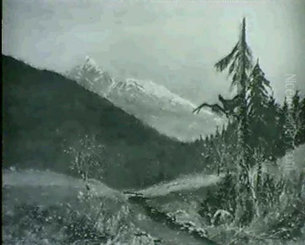 Balzender Auerhahn Im Gebirge - view 1