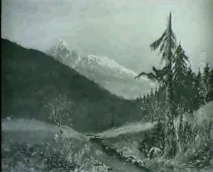 Balzender Auerhahn Im Gebirge