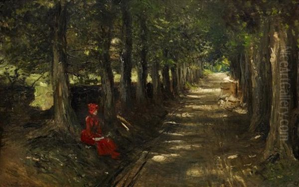 Sommerliche Allee - view 1