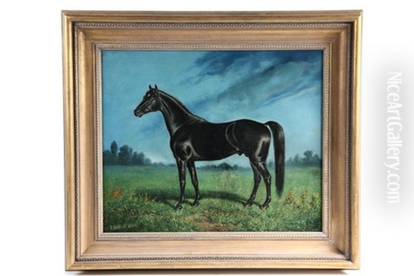 Equine Portrait Of The Stallion "lawrence" - view 1