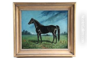 Equine Portrait Of The Stallion "lawrence" by Peter B. West