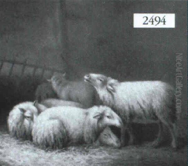 Sheep In A Barn - view 1