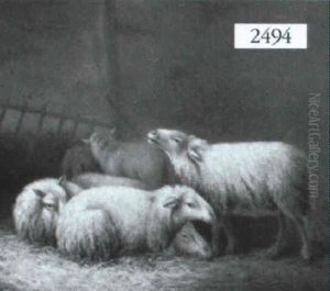 Sheep In A Barn