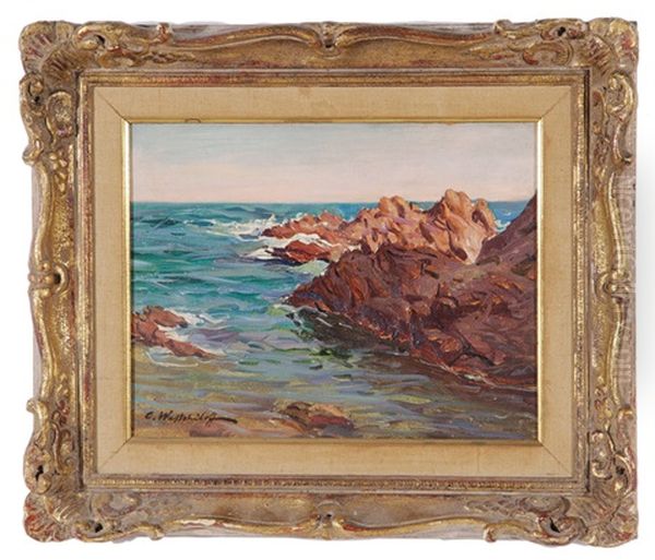 Rocky Coastline - view 1