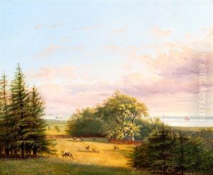 Landschap Met Herten In Een Weide by Pieter George Westenberg
