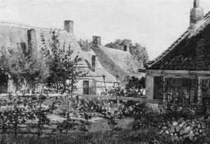 Garten In St. Agnes Ter Muiden, Zeeland