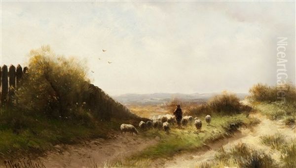 Shepherd With Flock Of Sheep In A Heather Landscape - view 1