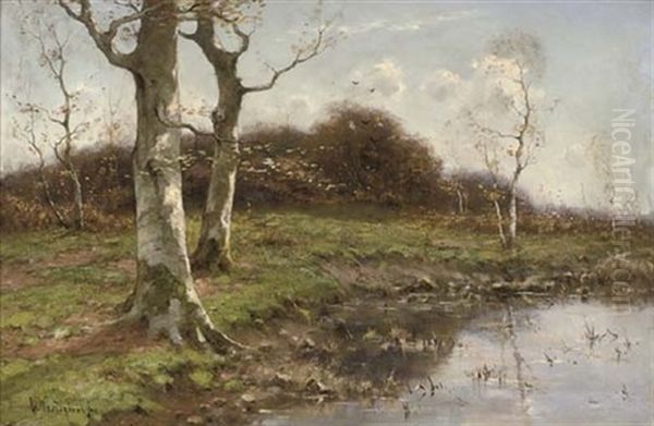Trees On A Riverbank - view 1
