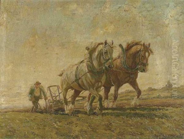 Zweiergespann Beim Pflugen Mit Bauern - view 1