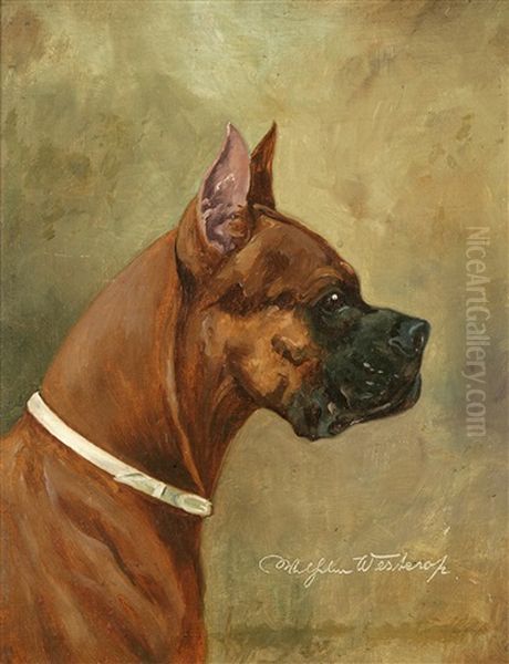 Boxer In Profile - view 1