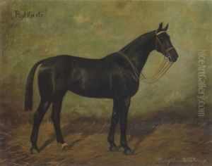Pferdeportrait: Rappe "postkarte" Im Stall by Wilhelm Westerop