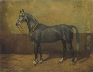 Pferdeportrait: Grauschimmel "platina" by Wilhelm Westerop