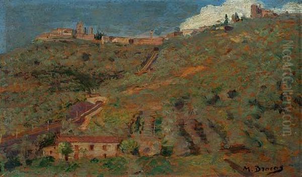 Paisagem - view 1