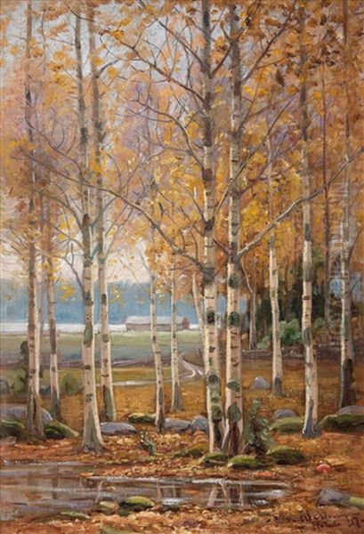 Birch Trees In Autumn Colors - view 1