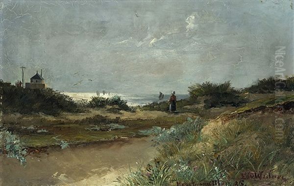 On The Coast - view 1
