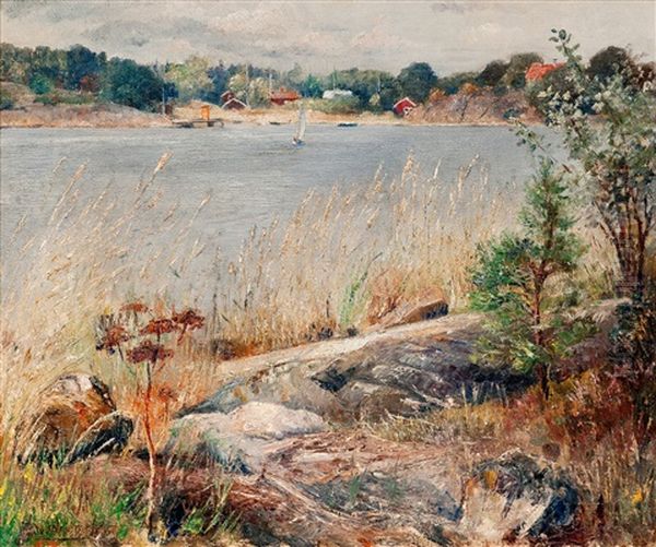Coast View - view 1