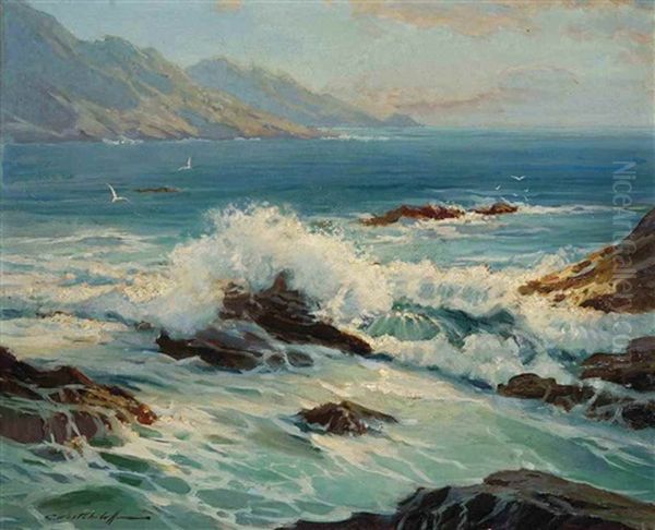 Rocky Shore - view 1