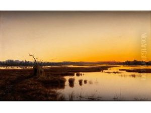 Weite Moorseelandschaft Im Abendlicht