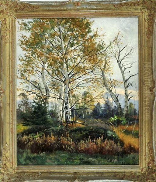 Hochmoorlandschaft Mit Birken Im Herbst - view 1