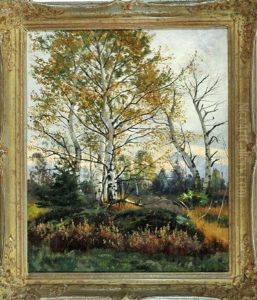 Hochmoorlandschaft Mit Birken Im Herbst