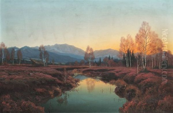 Abendstimmung Im Murnauer Moos - view 1