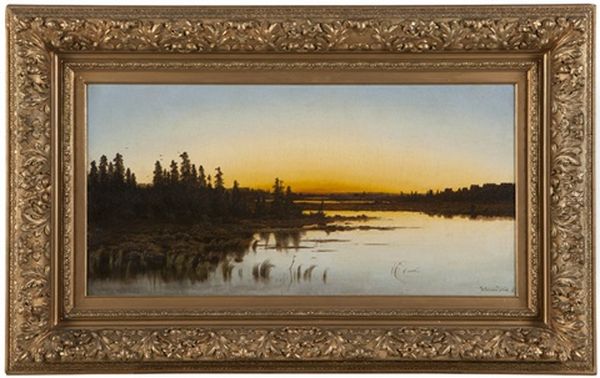 Marsh Landscape At Sunset - view 1